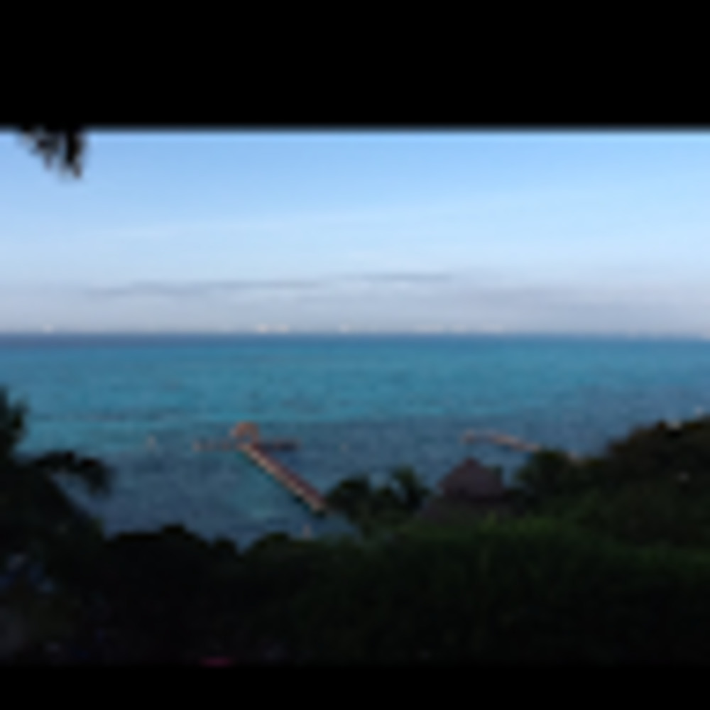 Meet your Posher, Carole